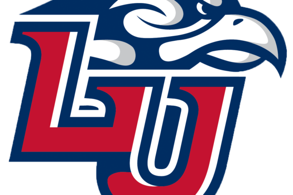 LIBERTY UNIVERSITY - Online Course Report